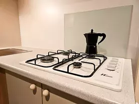 Bungalows y Cabañas SOLOPUENT Natur apartamentos turísticos en Castiello de Jaca